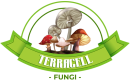 Terracell Logo
