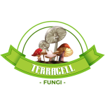 Terracell Logo